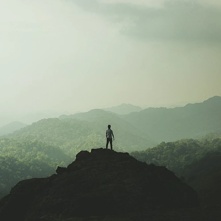Enhancing Candidate Experience through DEI Meetings